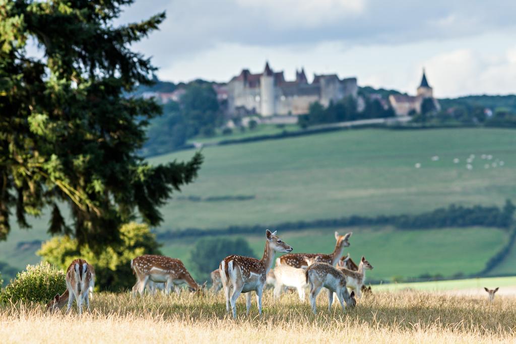 Château Sainte-Sabine Sainte-Sabine (Cote-d'Or) Exterior foto